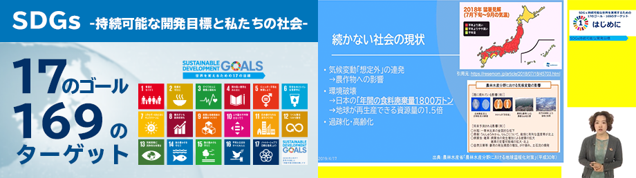 SDGs入門 - 持続可能な開発目標と私たちの社会のコース画像と動画のスクリーンショット画像
